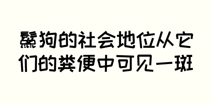 鬣狗的社会地位从它们的粪便中可见一斑