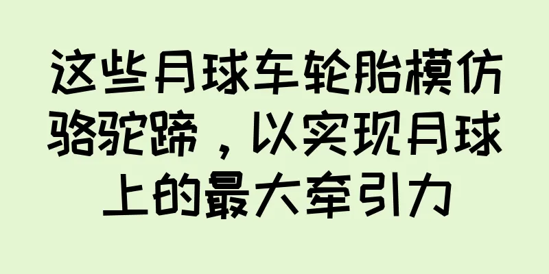 这些月球车轮胎模仿骆驼蹄，以实现月球上的最大牵引力