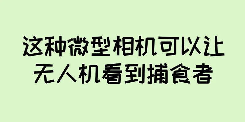 这种微型相机可以让无人机看到捕食者
