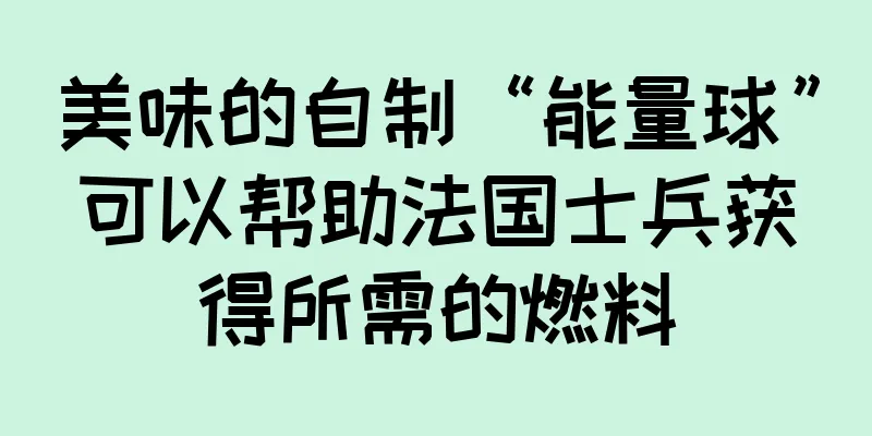 美味的自制“能量球”可以帮助法国士兵获得所需的燃料