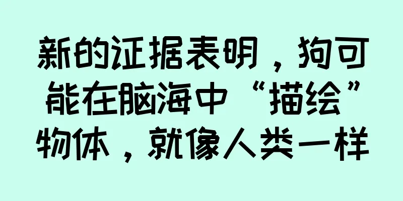 新的证据表明，狗可能在脑海中“描绘”物体，就像人类一样