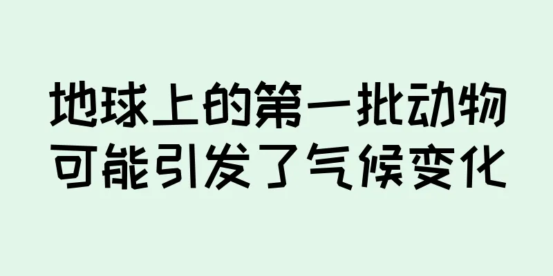 地球上的第一批动物可能引发了气候变化