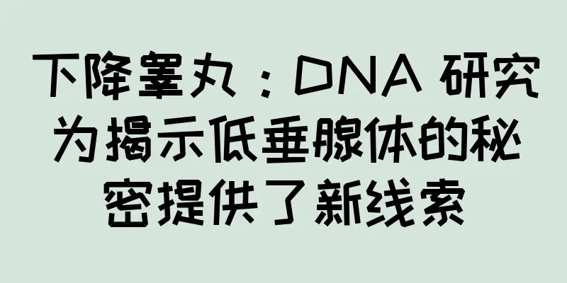 下降睾丸：DNA 研究为揭示低垂腺体的秘密提供了新线索