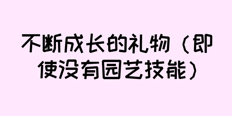 不断成长的礼物（即使没有园艺技能）
