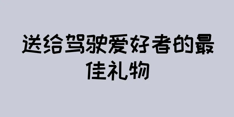 送给驾驶爱好者的最佳礼物