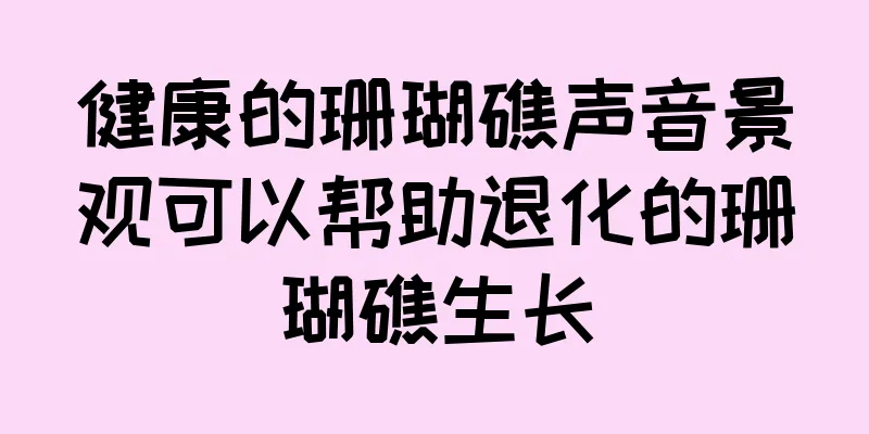 健康的珊瑚礁声音景观可以帮助退化的珊瑚礁生长