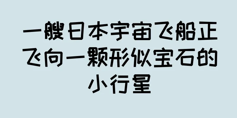 一艘日本宇宙飞船正飞向一颗形似宝石的小行星