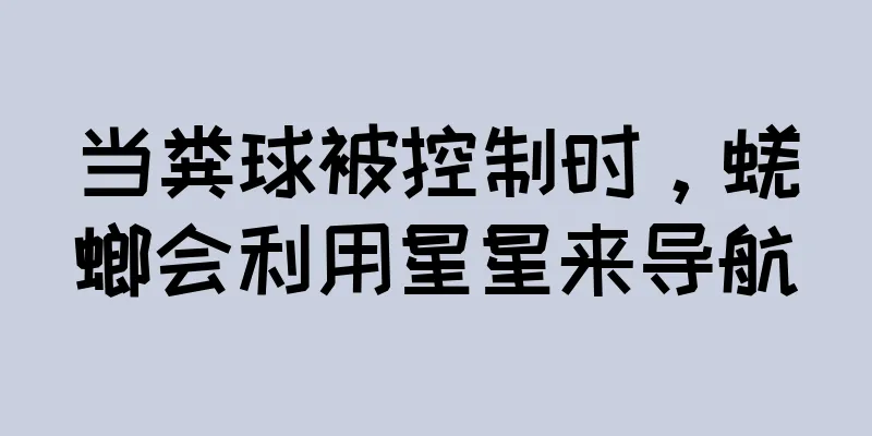 当粪球被控制时，蜣螂会利用星星来导航