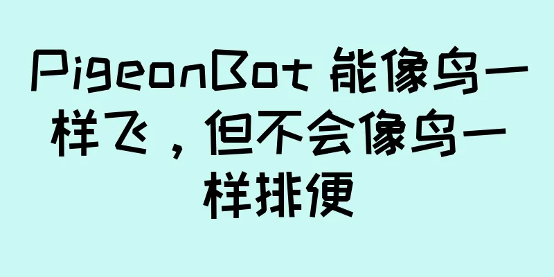 PigeonBot 能像鸟一样飞，但不会像鸟一样排便