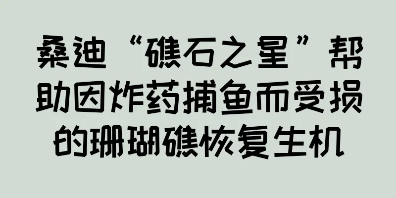 桑迪“礁石之星”帮助因炸药捕鱼而受损的珊瑚礁恢复生机