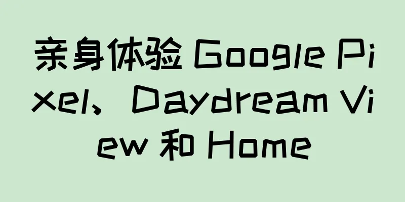 亲身体验 Google Pixel、Daydream View 和 Home