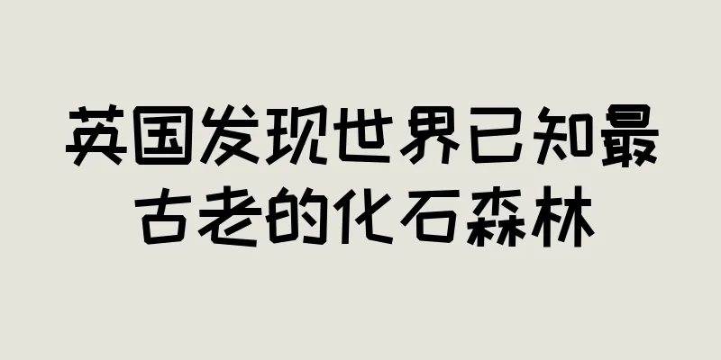 英国发现世界已知最古老的化石森林