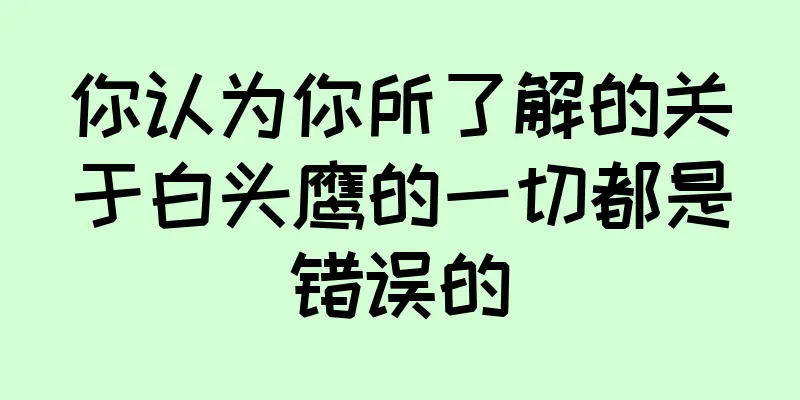 你认为你所了解的关于白头鹰的一切都是错误的