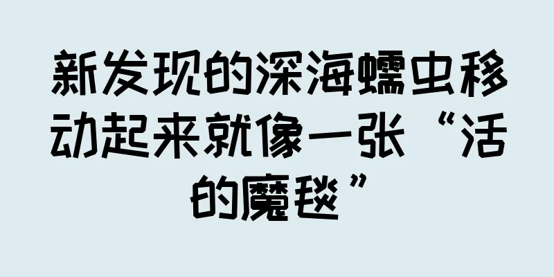 新发现的深海蠕虫移动起来就像一张“活的魔毯”