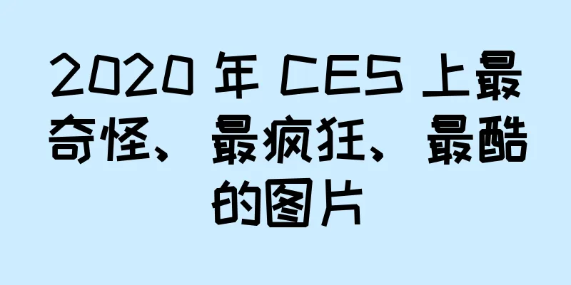 2020 年 CES 上最奇怪、最疯狂、最酷的图片