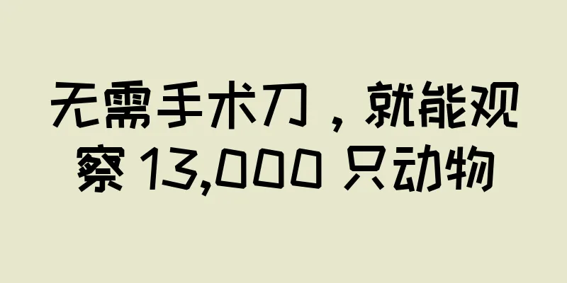 无需手术刀，就能观察 13,000 只动物
