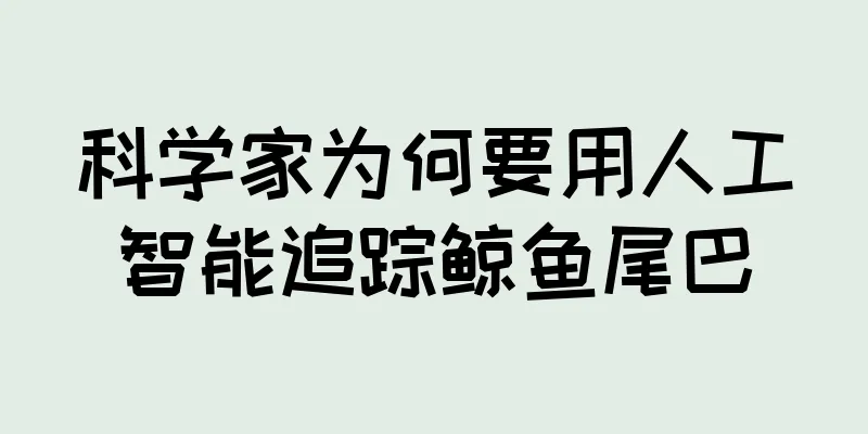 科学家为何要用人工智能追踪鲸鱼尾巴