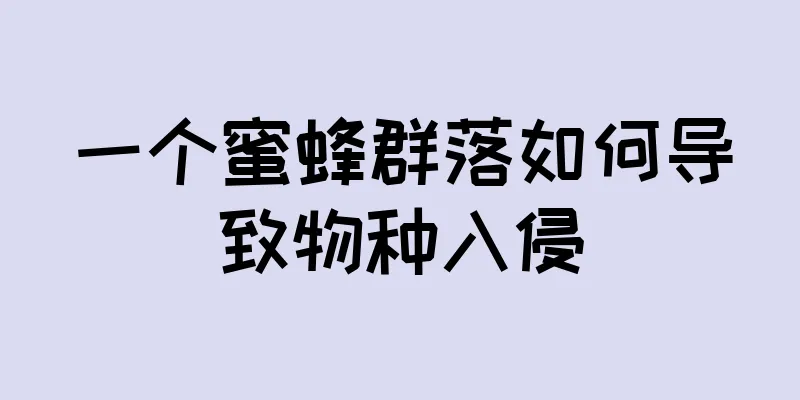 一个蜜蜂群落如何导致物种入侵