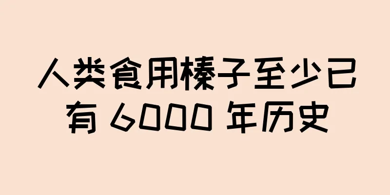 人类食用榛子至少已有 6000 年历史