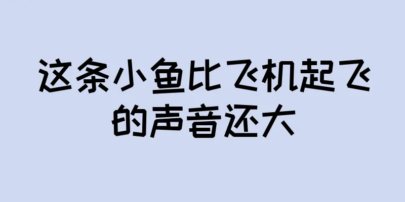 这条小鱼比飞机起飞的声音还大