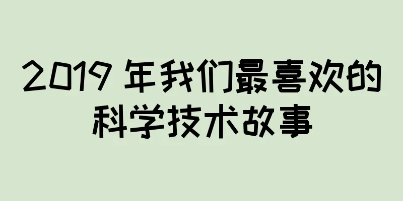 2019 年我们最喜欢的科学技术故事