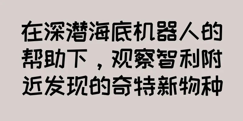 在深潜海底机器人的帮助下，观察智利附近发现的奇特新物种