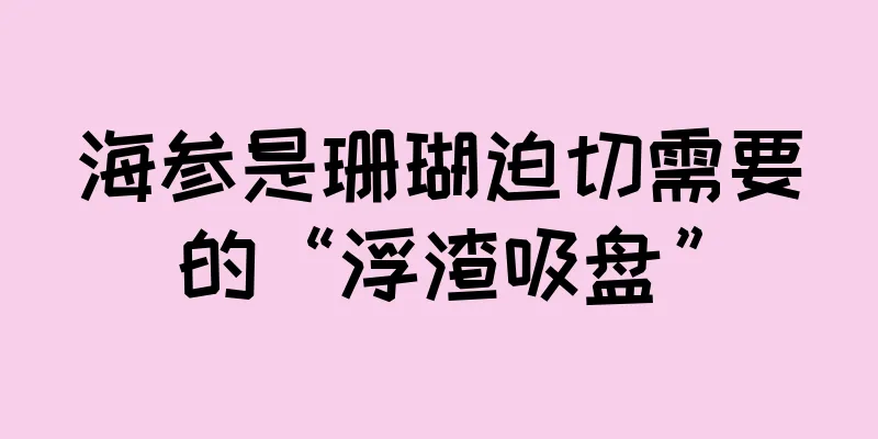 海参是珊瑚迫切需要的“浮渣吸盘”