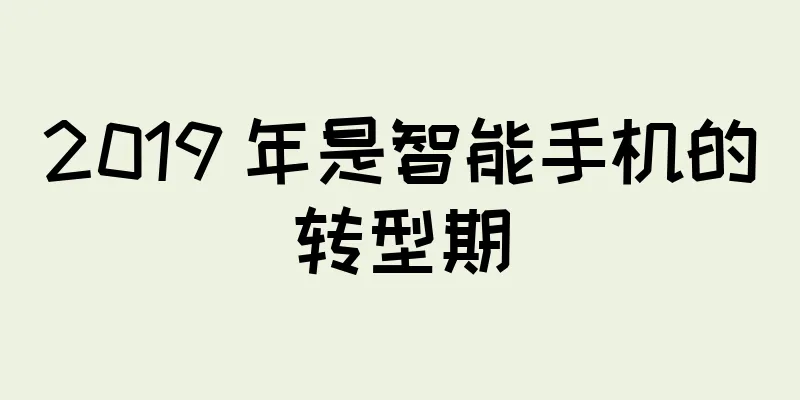 2019 年是智能手机的转型期