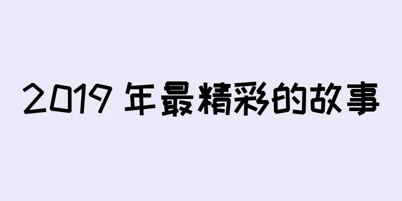 2019 年最精彩的故事