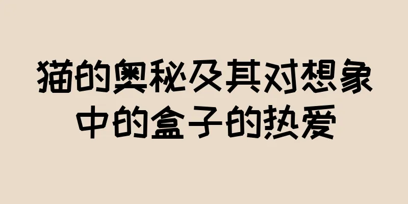 猫的奥秘及其对想象中的盒子的热爱