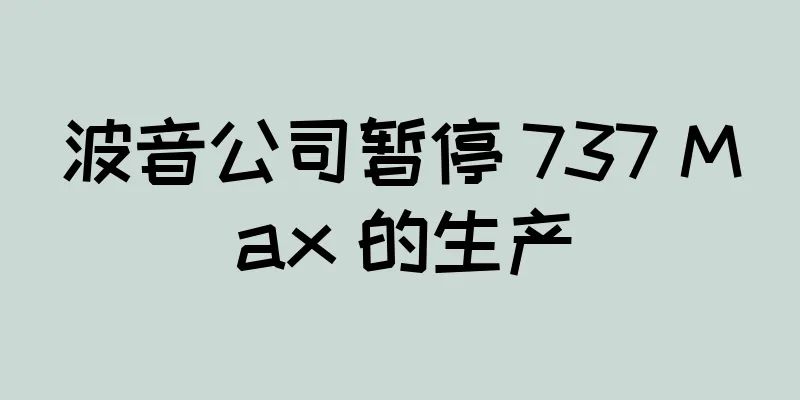 波音公司暂停 737 Max 的生产