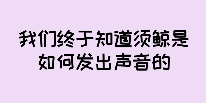 我们终于知道须鲸是如何发出声音的