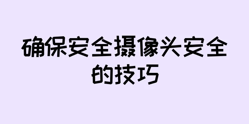 确保安全摄像头安全的技巧