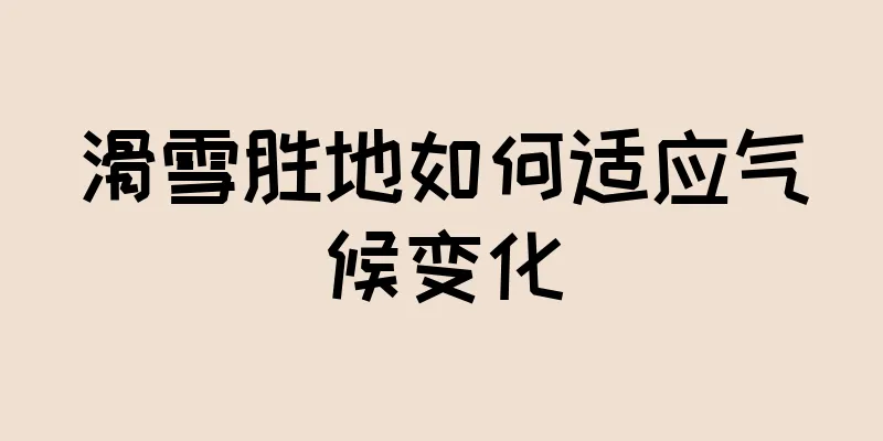 滑雪胜地如何适应气候变化