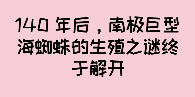 140 年后，南极巨型海蜘蛛的生殖之谜终于解开