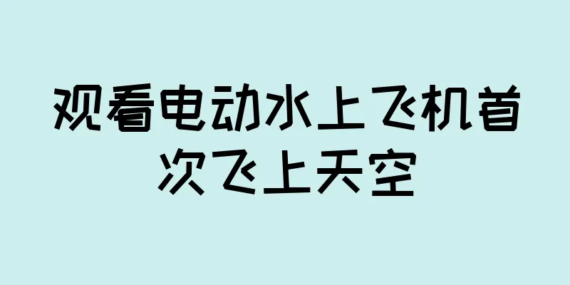 观看电动水上飞机首次飞上天空