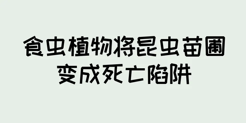 食虫植物将昆虫苗圃变成死亡陷阱