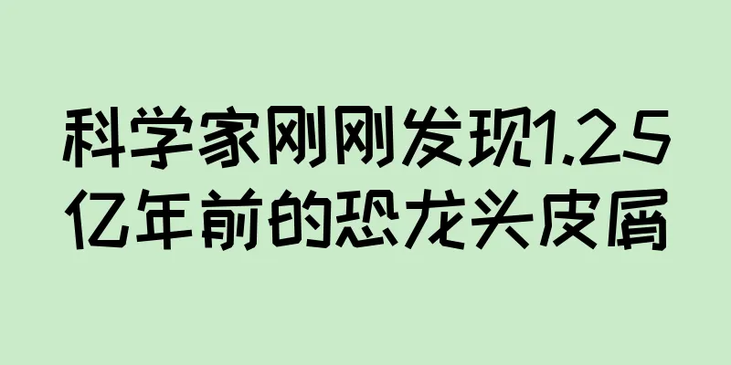 科学家刚刚发现1.25亿年前的恐龙头皮屑