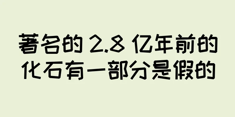 著名的 2.8 亿年前的化石有一部分是假的