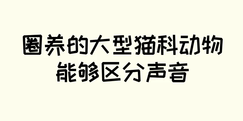 圈养的大型猫科动物能够区分声音