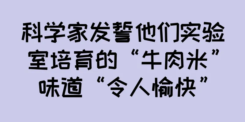 科学家发誓他们实验室培育的“牛肉米”味道“令人愉快”