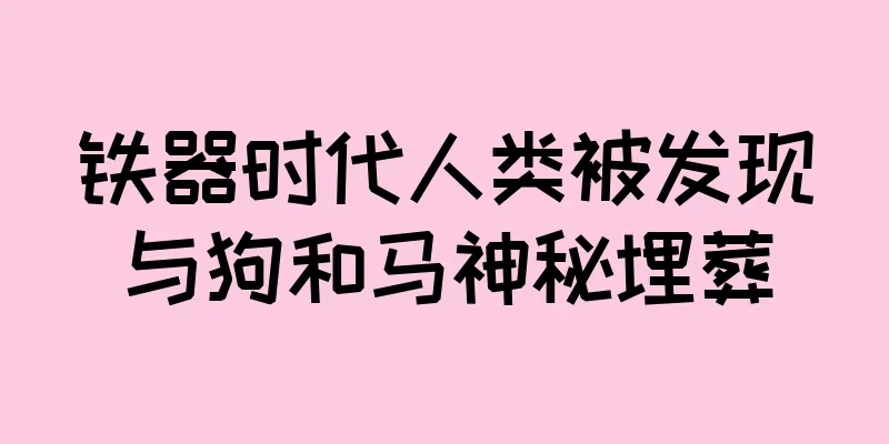 铁器时代人类被发现与狗和马神秘埋葬