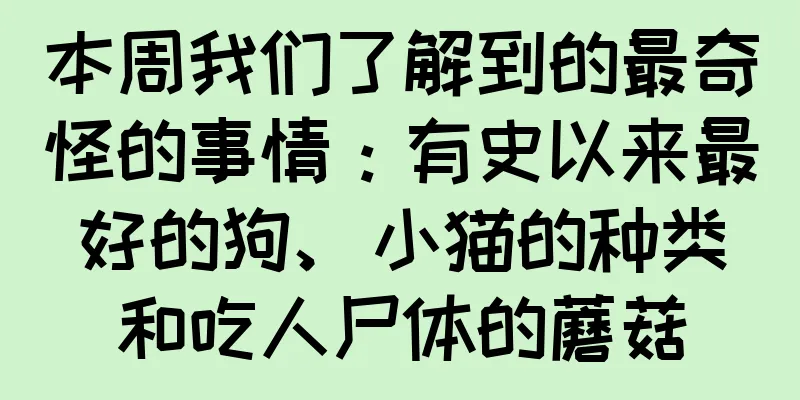 本周我们了解到的最奇怪的事情：有史以来最好的狗、小猫的种类和吃人尸体的蘑菇