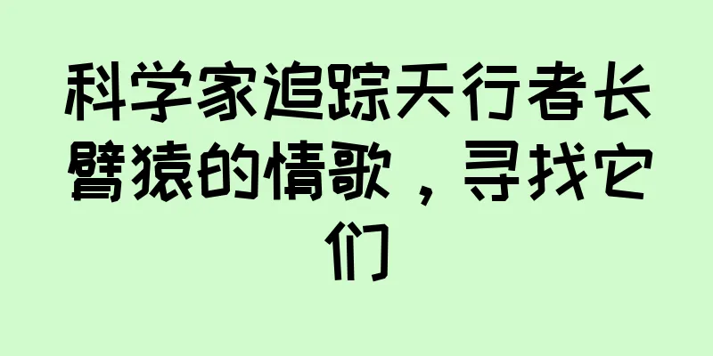 科学家追踪天行者长臂猿的情歌，寻找它们