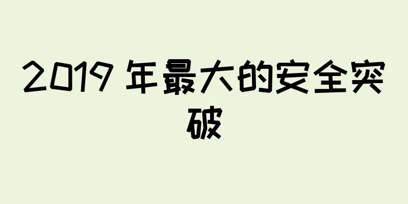 2019 年最大的安全突破