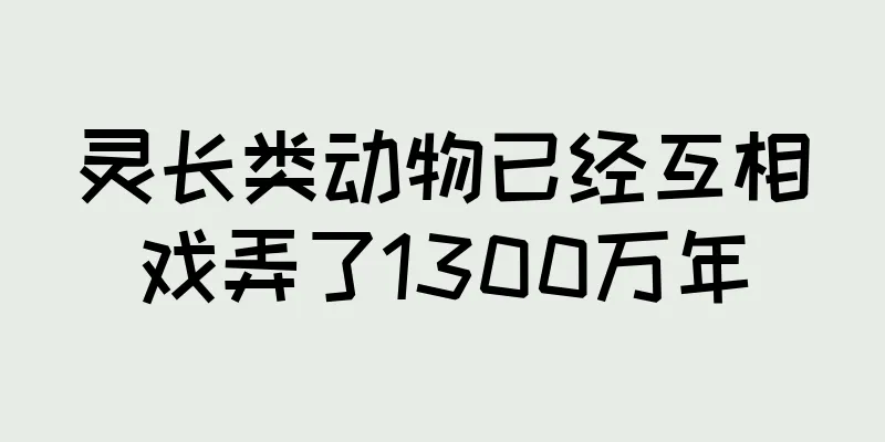 灵长类动物已经互相戏弄了1300万年