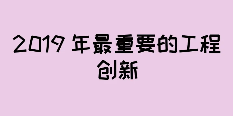 2019 年最重要的工程创新
