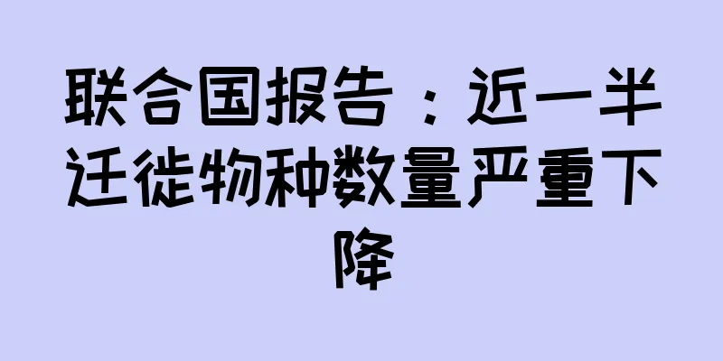 联合国报告：近一半迁徙物种数量严重下降