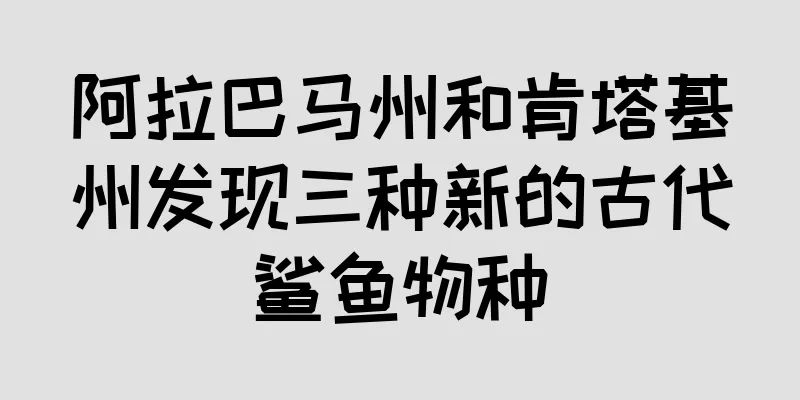 阿拉巴马州和肯塔基州发现三种新的古代鲨鱼物种