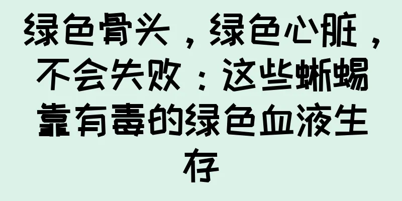 绿色骨头，绿色心脏，不会失败：这些蜥蜴靠有毒的绿色血液生存